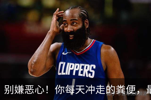 别嫌恶心！你每天冲走的粪便，最后竟全藏进城市这些秘密角落里！